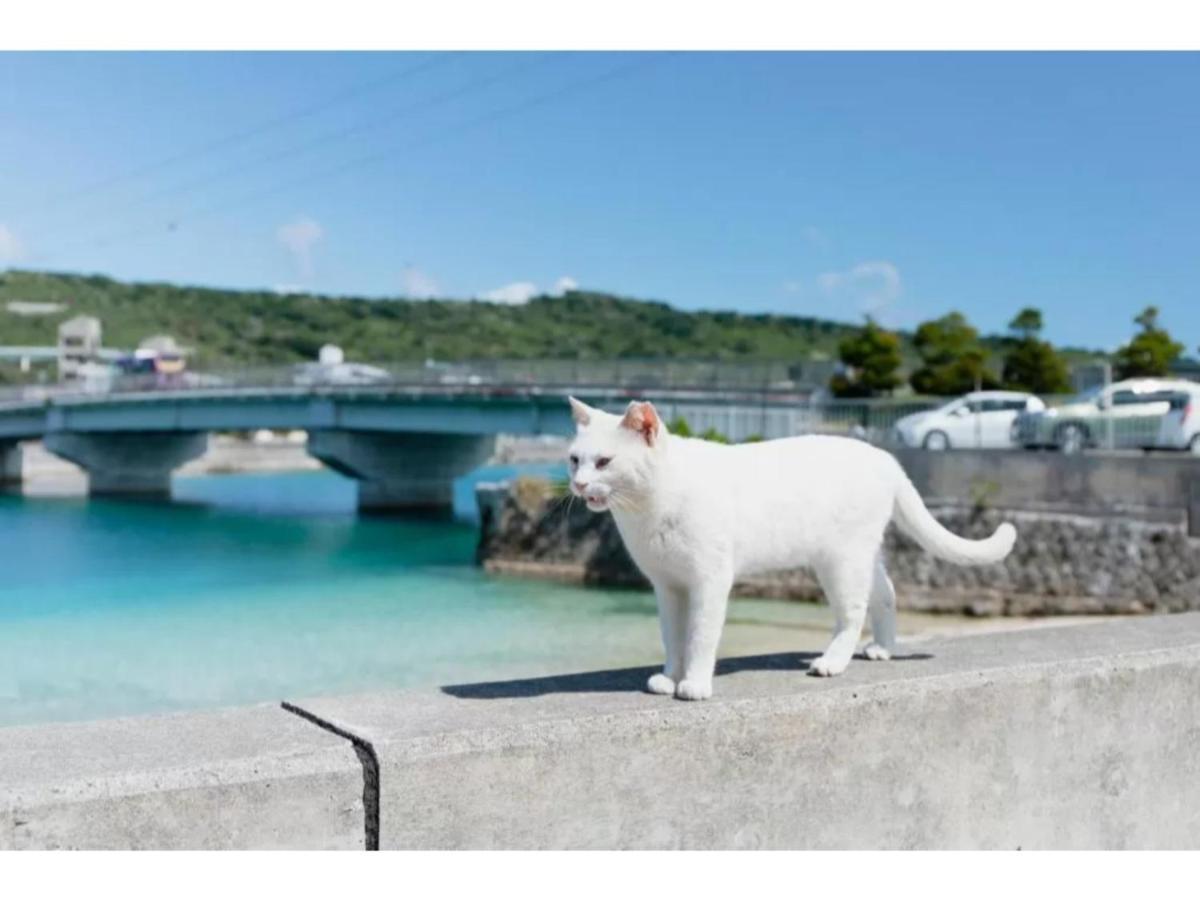 Hotel Pescatore Okinawa - Vacation Stay 20882V Νάχα Εξωτερικό φωτογραφία