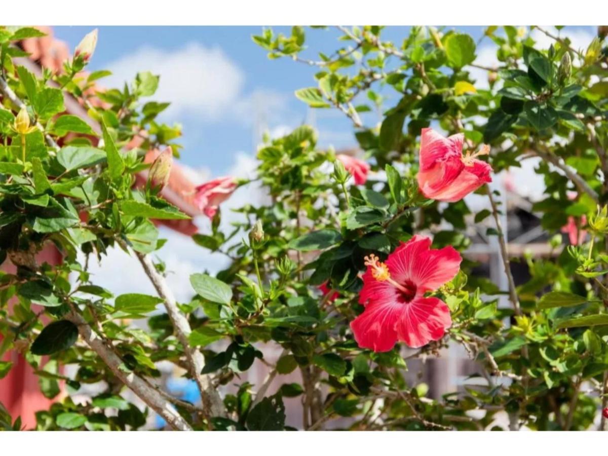Hotel Pescatore Okinawa - Vacation Stay 20882V Νάχα Εξωτερικό φωτογραφία