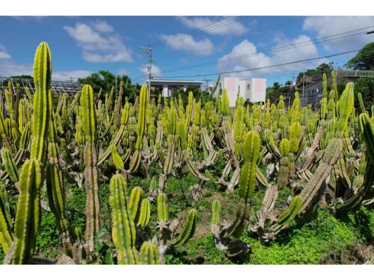 Hotel Pescatore Okinawa - Vacation Stay 20882V Νάχα Εξωτερικό φωτογραφία